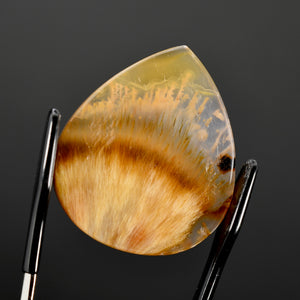 Golden Sagenite Rutile Agate Teardrop Cabochon