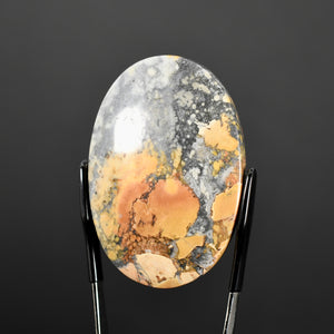 Maligano Jasper Cabochon 