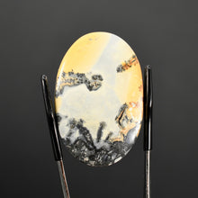 Load image into Gallery viewer, Maligano Jasper Cabochon 
