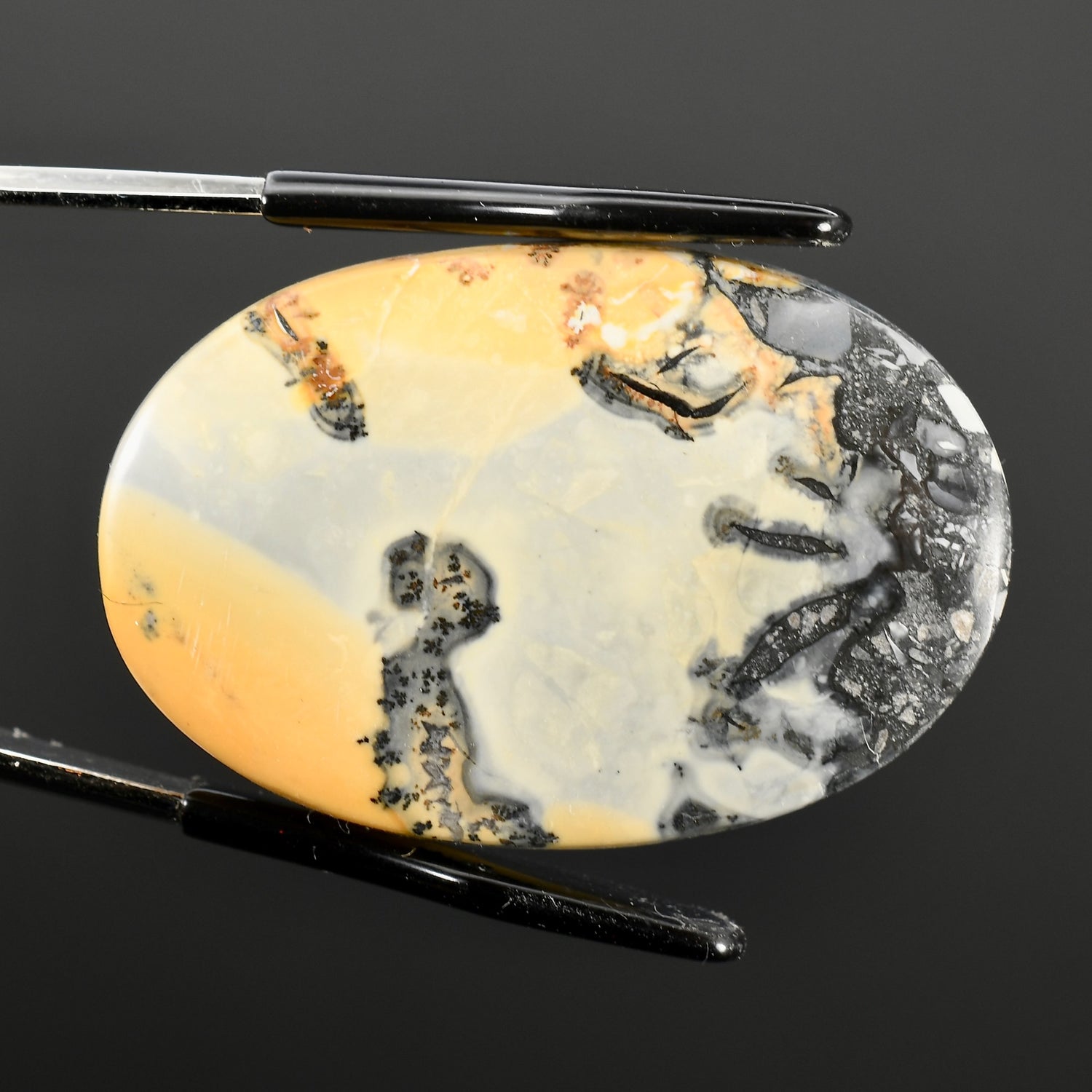 Maligano Jasper Cabochon 