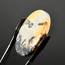 Load image into Gallery viewer, Maligano Jasper Cabochon 
