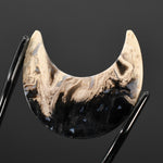 Fossil Palm Root Moon Cabochon