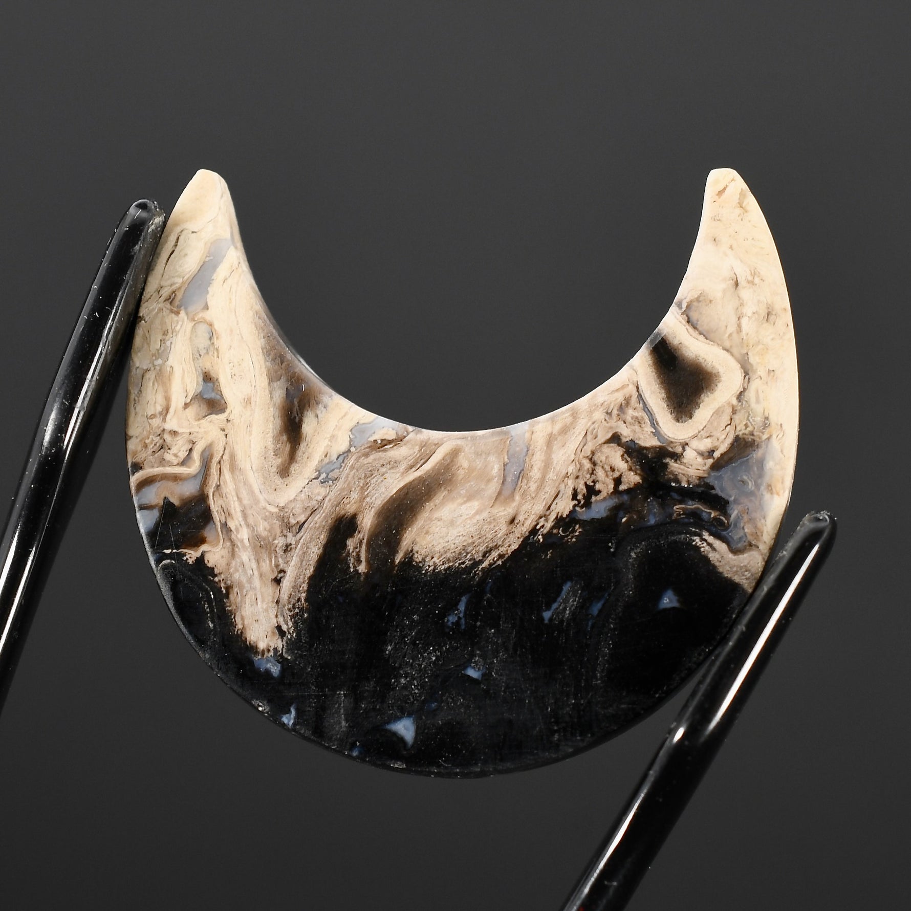 Fossil Palm Root Moon Cabochon