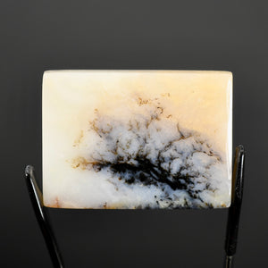 Dendritic Agate Cabochon