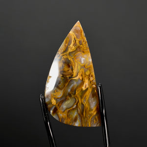 Golden Plume Agate Cabochon