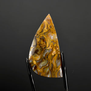 Golden Plume Agate Cabochon