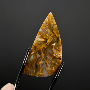 Golden Plume Agate Cabochon