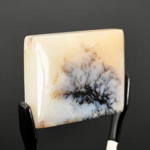 Dendritic Agate Cabochon