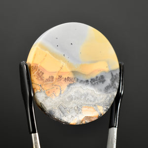 Maligano Jasper Round Cabochon