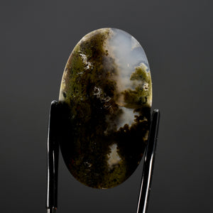 Moss Agate Cabochon