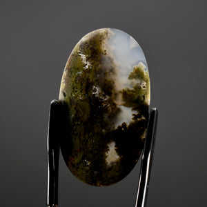 Moss Agate Cabochon