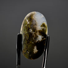 Load image into Gallery viewer, Moss Agate Cabochon
