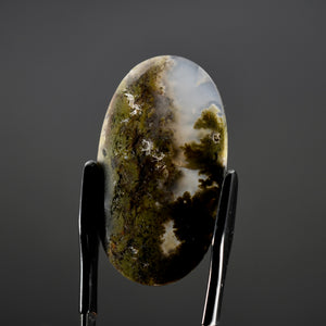 Moss Agate Cabochon