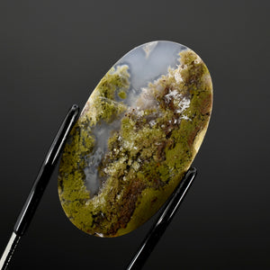 Moss Agate Cabochon