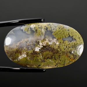 Moss Agate Cabochon