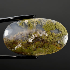 Moss Agate Cabochon