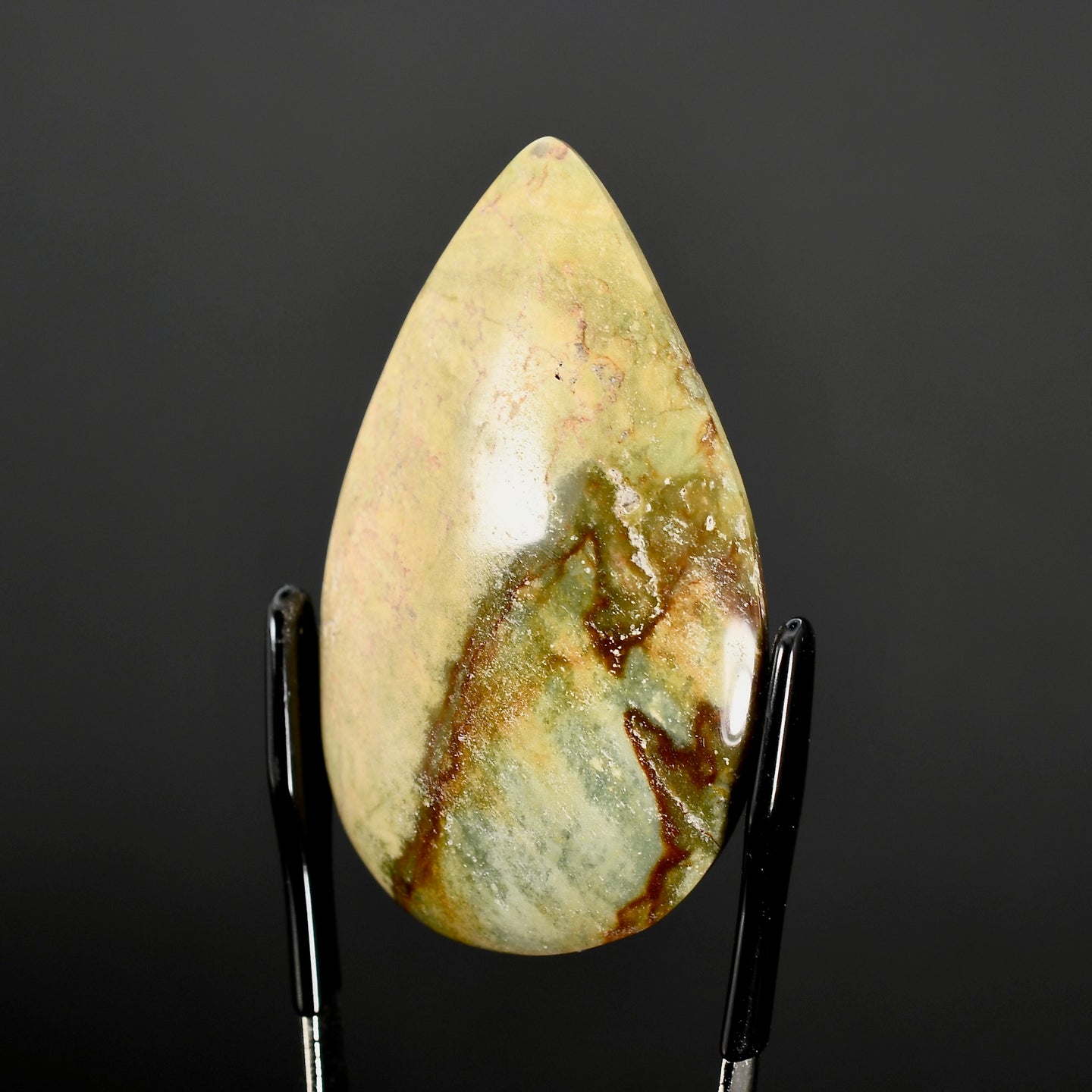 Picture Jasper Cabochon 