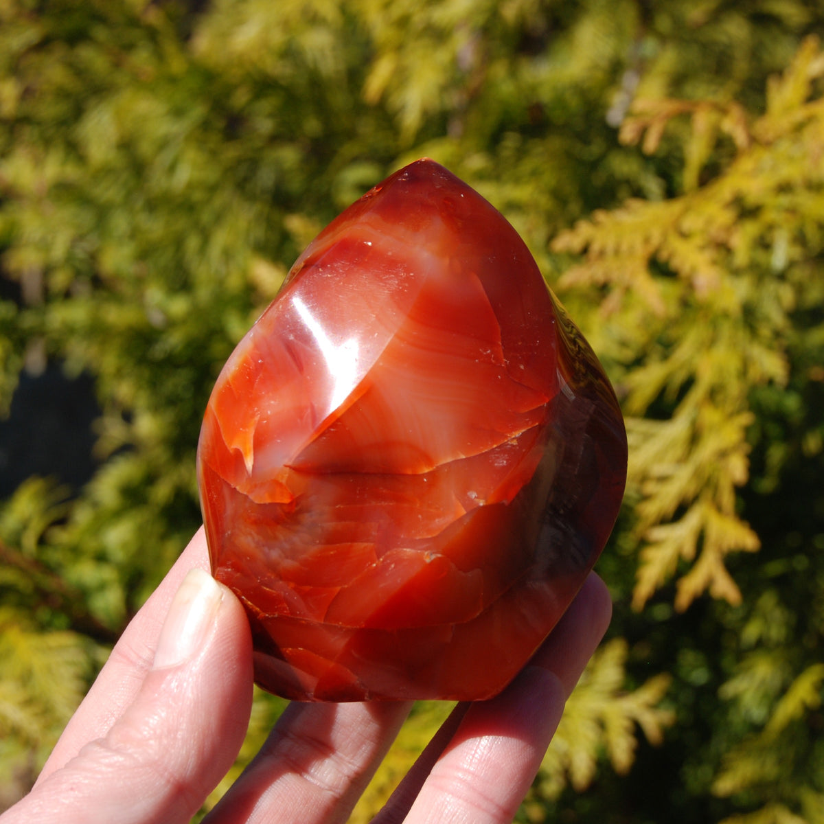 Orbicular Red Carnelian Agate Crystal Flame