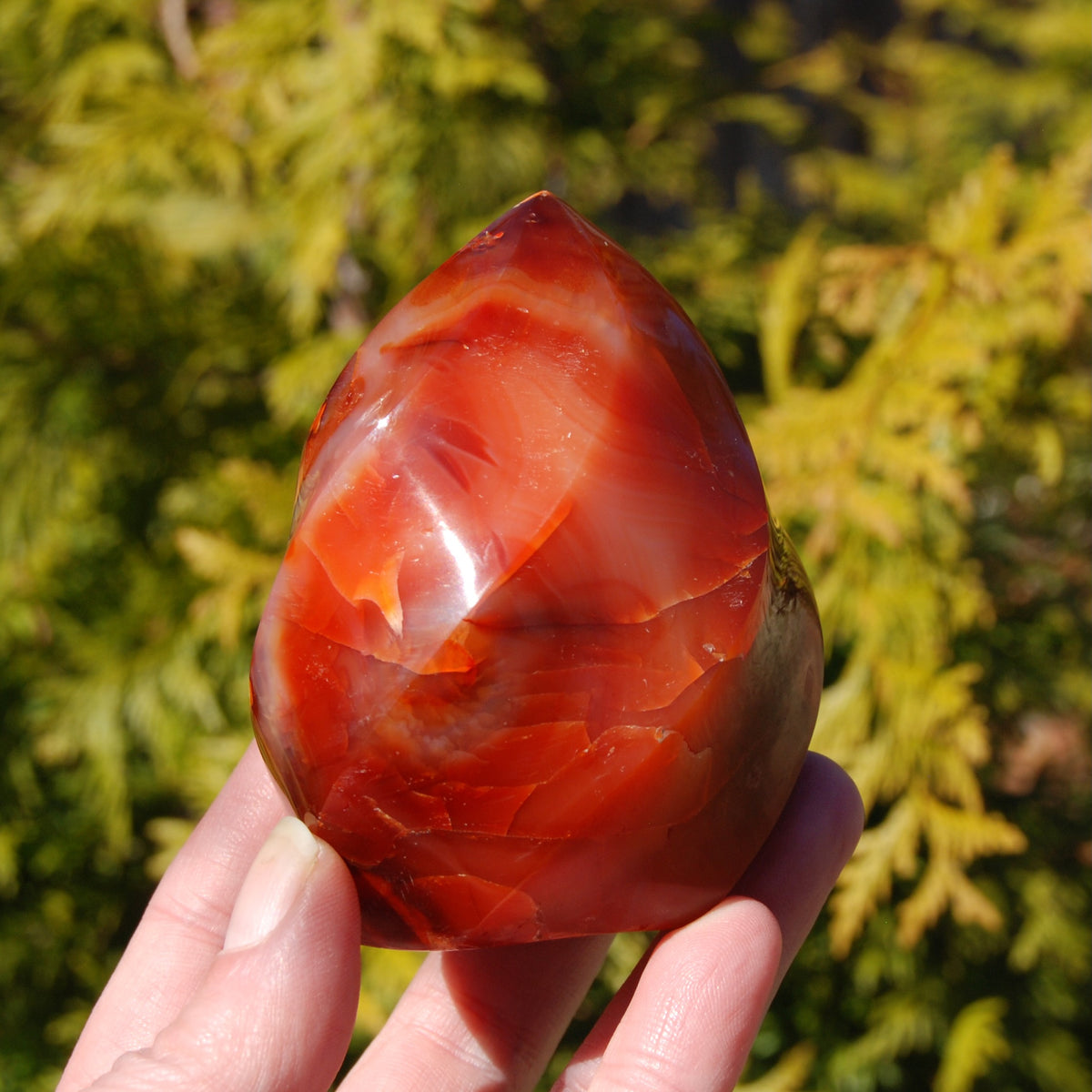 Orbicular Red Carnelian Agate Crystal Flame