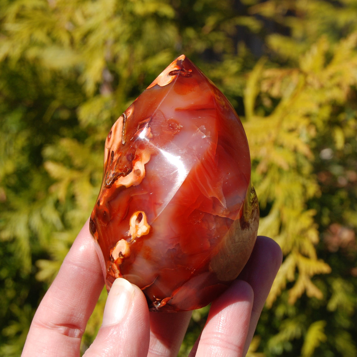 Orbicular Red Carnelian Agate Crystal Flame