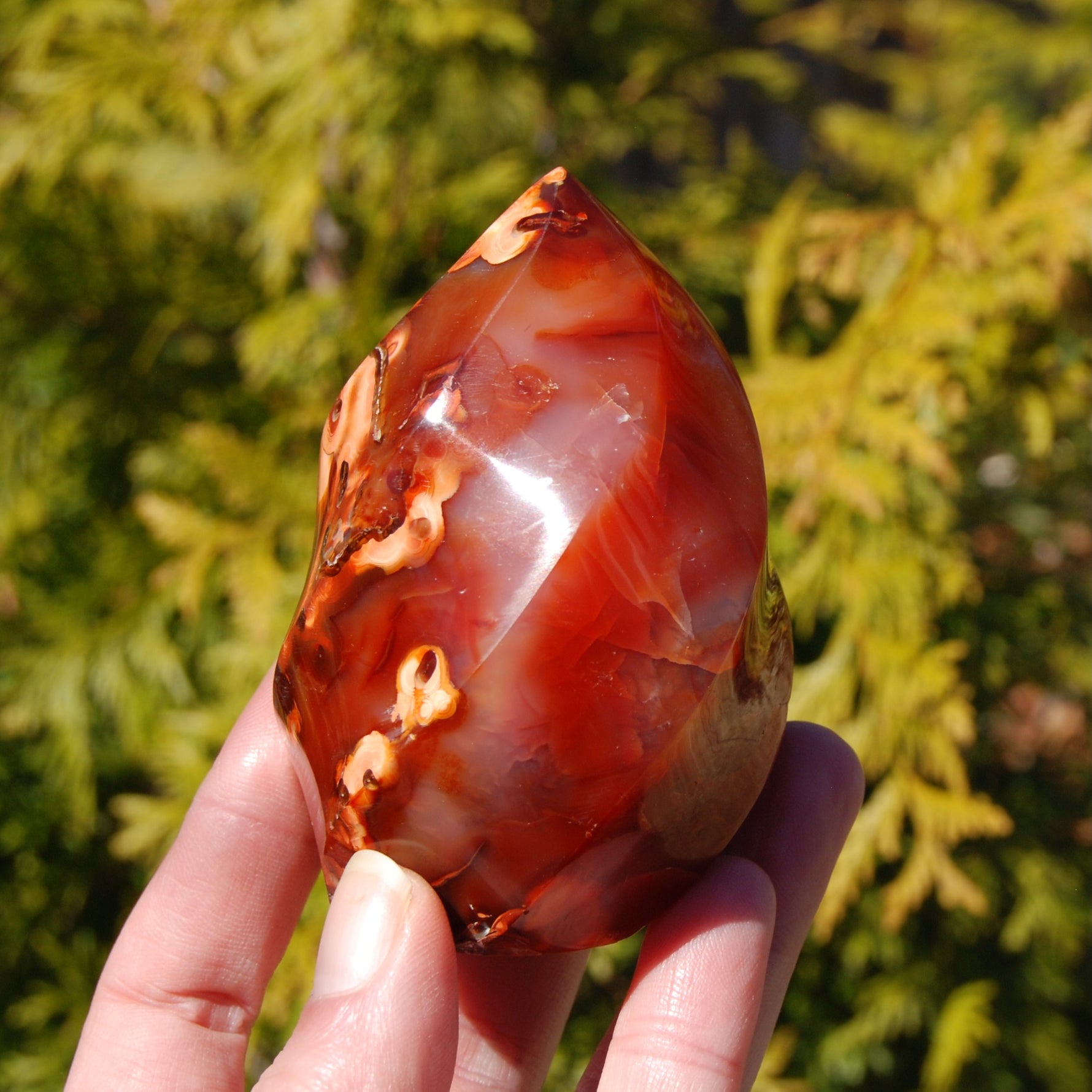 Orbicular Red Carnelian Agate Crystal Flame
