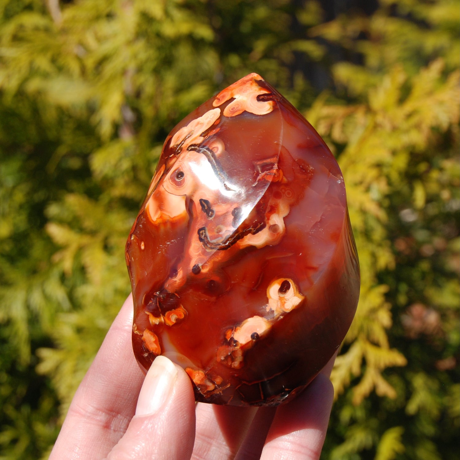 Orbicular Red Carnelian Agate Crystal Flame