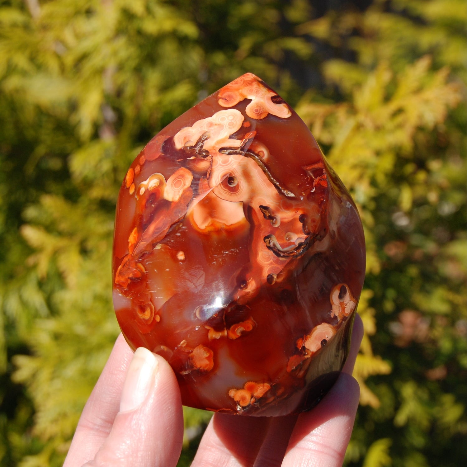 Orbicular Red Carnelian Agate Crystal Flame