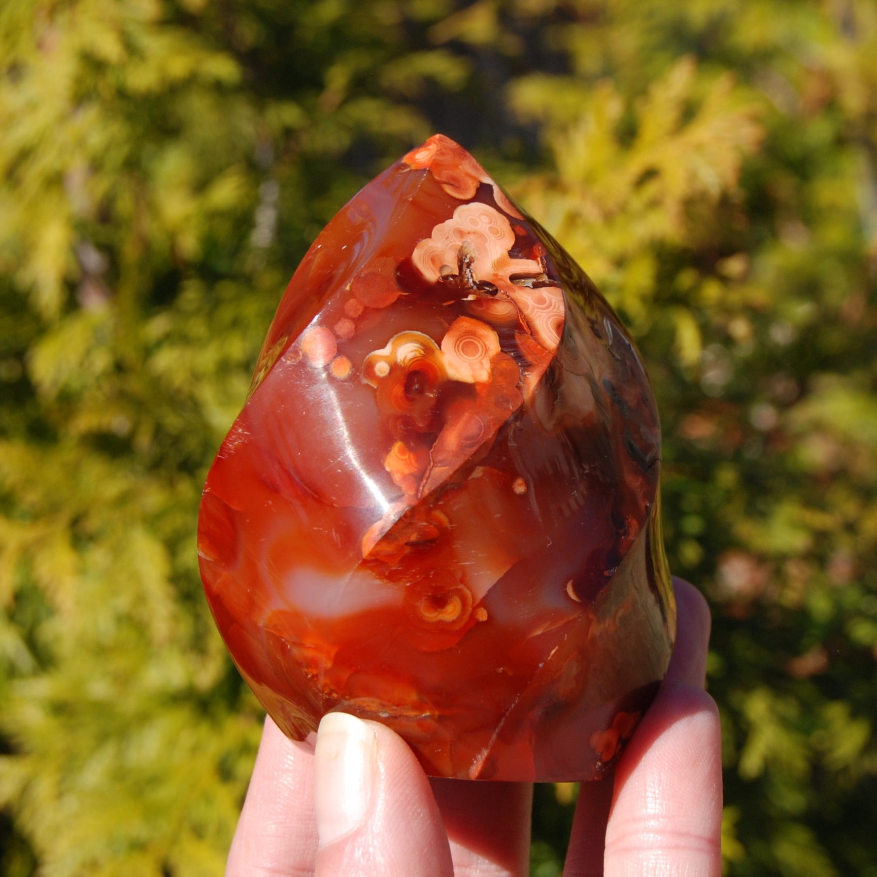 Orbicular Red Carnelian Agate Crystal Flame
