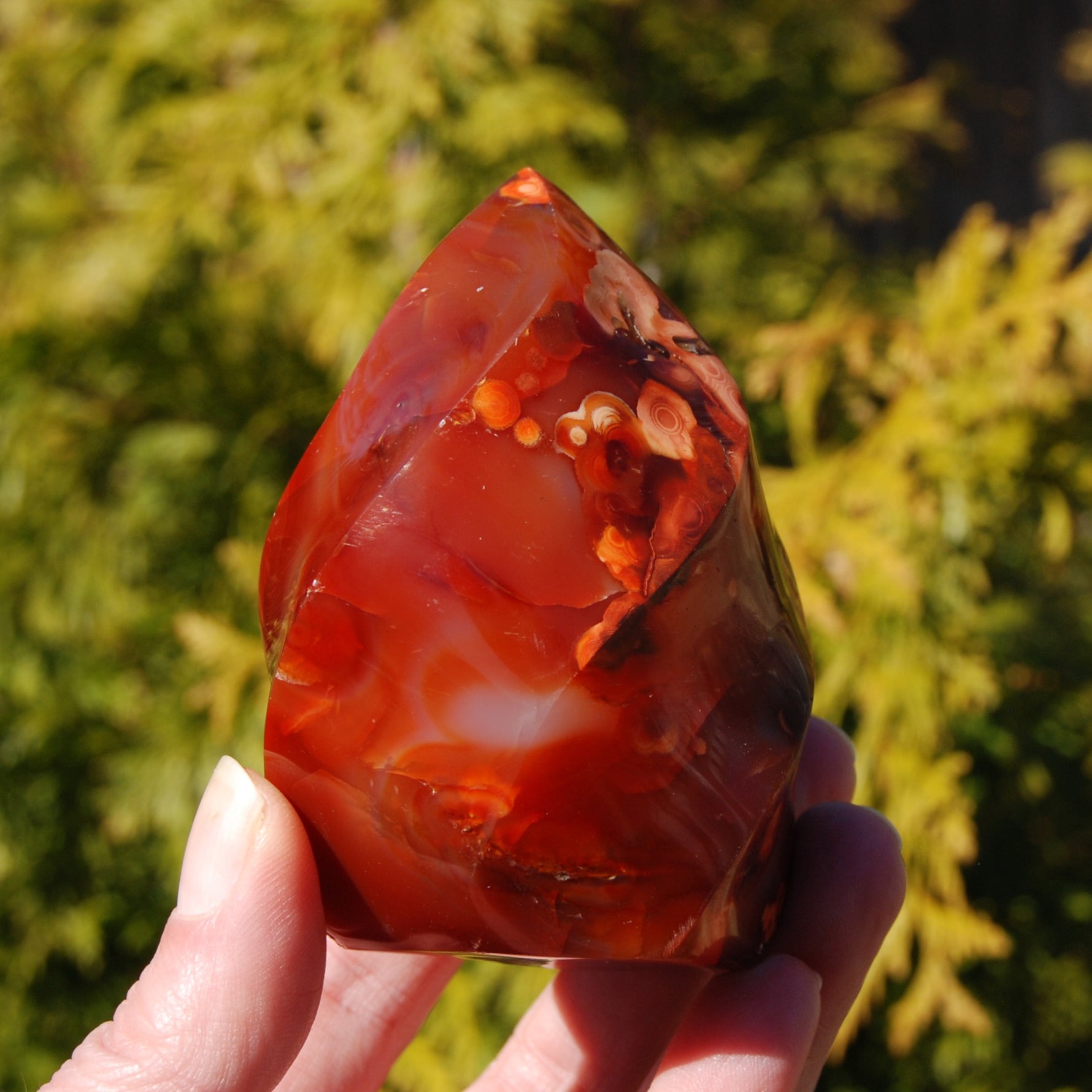 Orbicular Red Carnelian Agate Crystal Flame