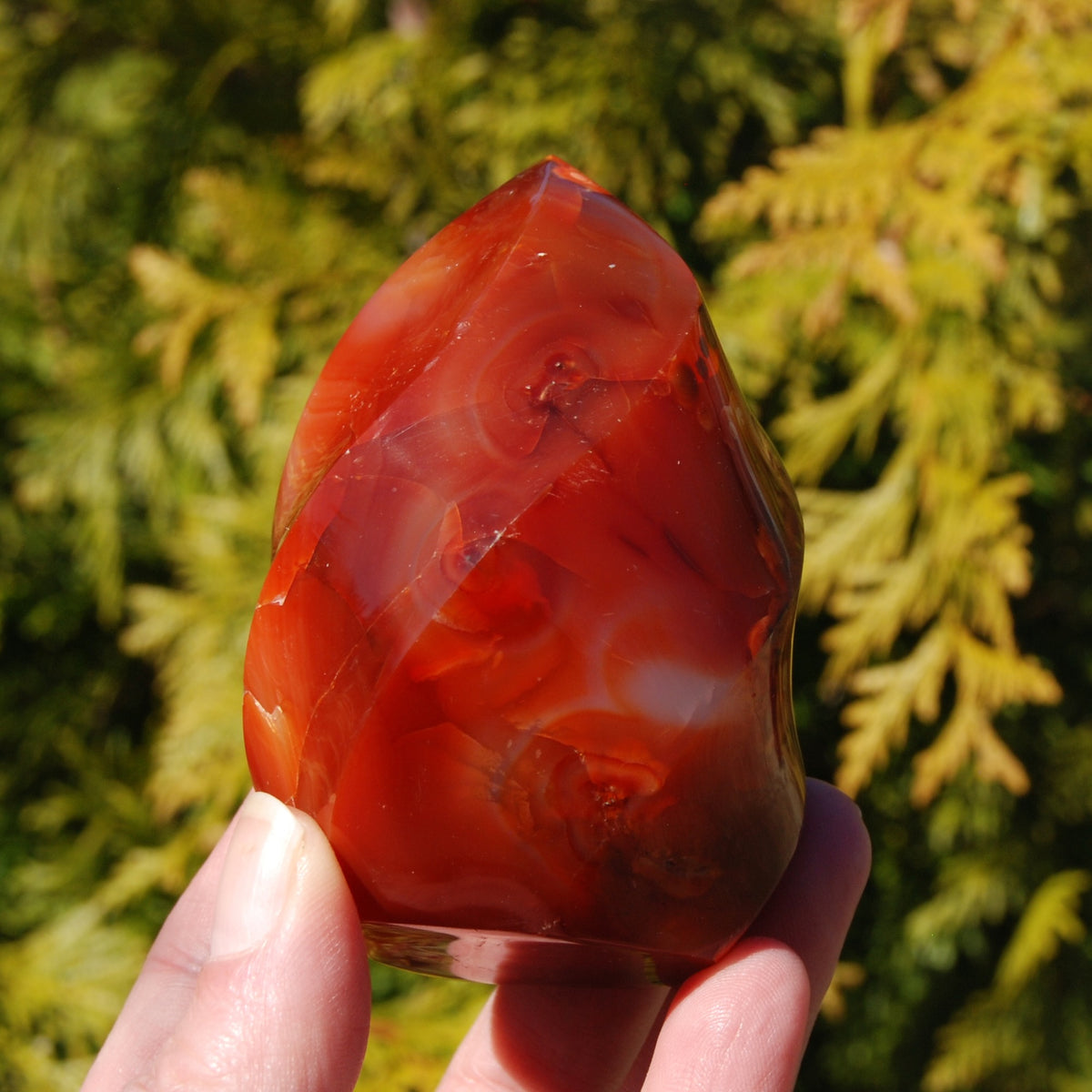 Orbicular Red Carnelian Agate Crystal Flame
