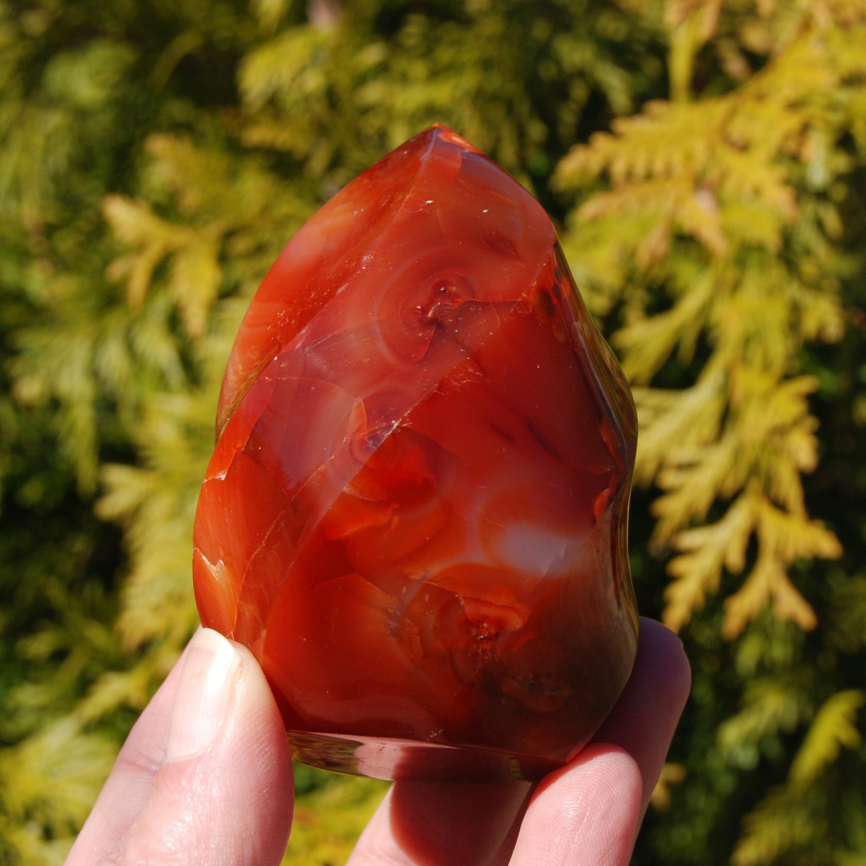 Orbicular Red Carnelian Agate Crystal Flame