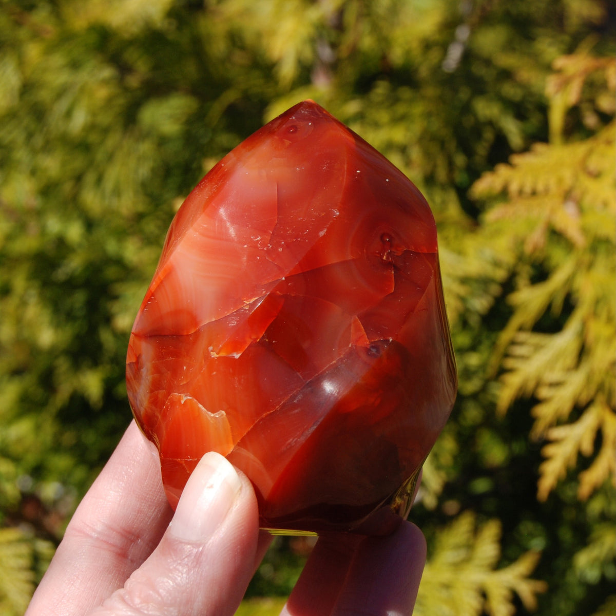 Orbicular Red Carnelian Agate Crystal Flame