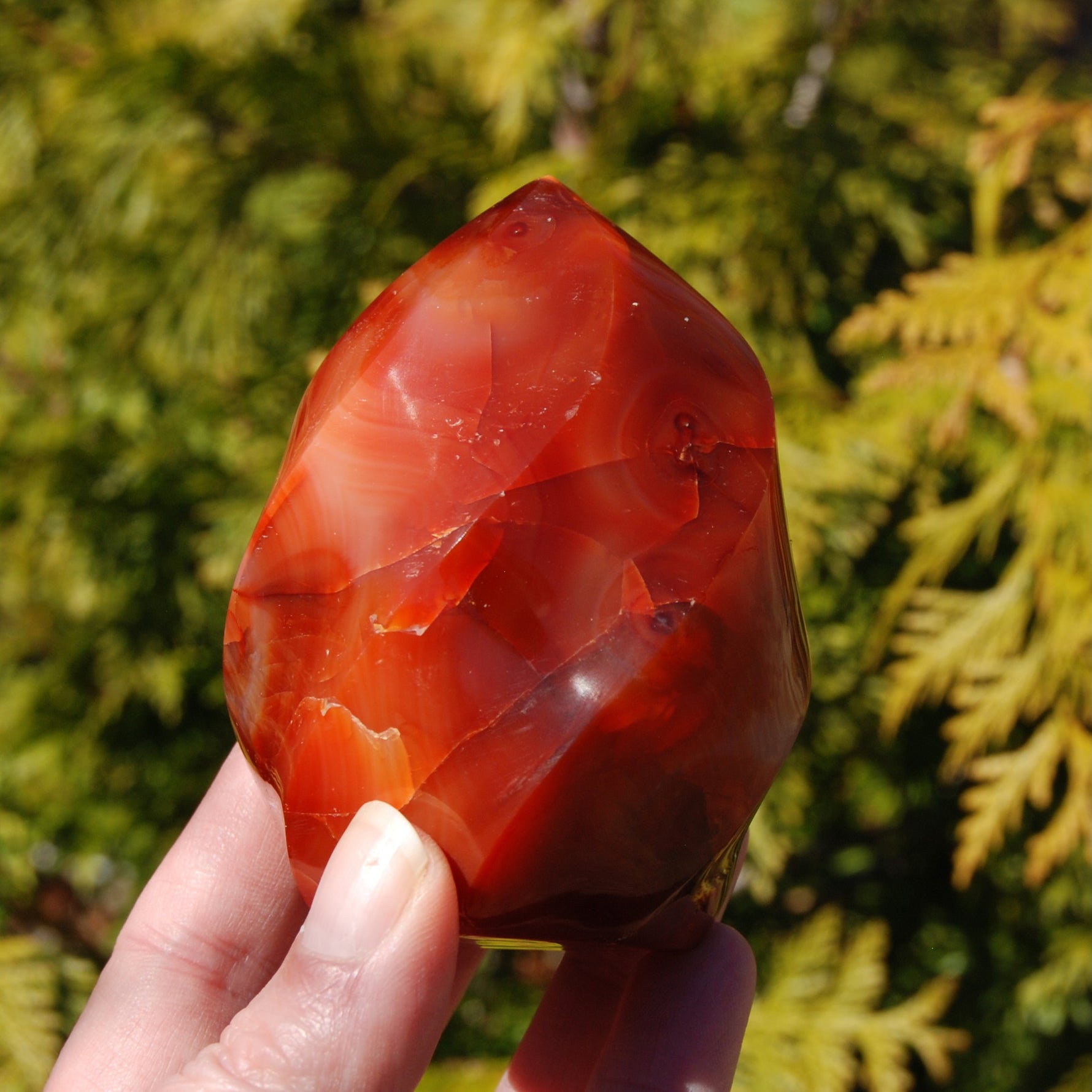 Orbicular Red Carnelian Agate Crystal Flame