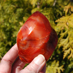 Orbicular Red Carnelian Agate Crystal Flame