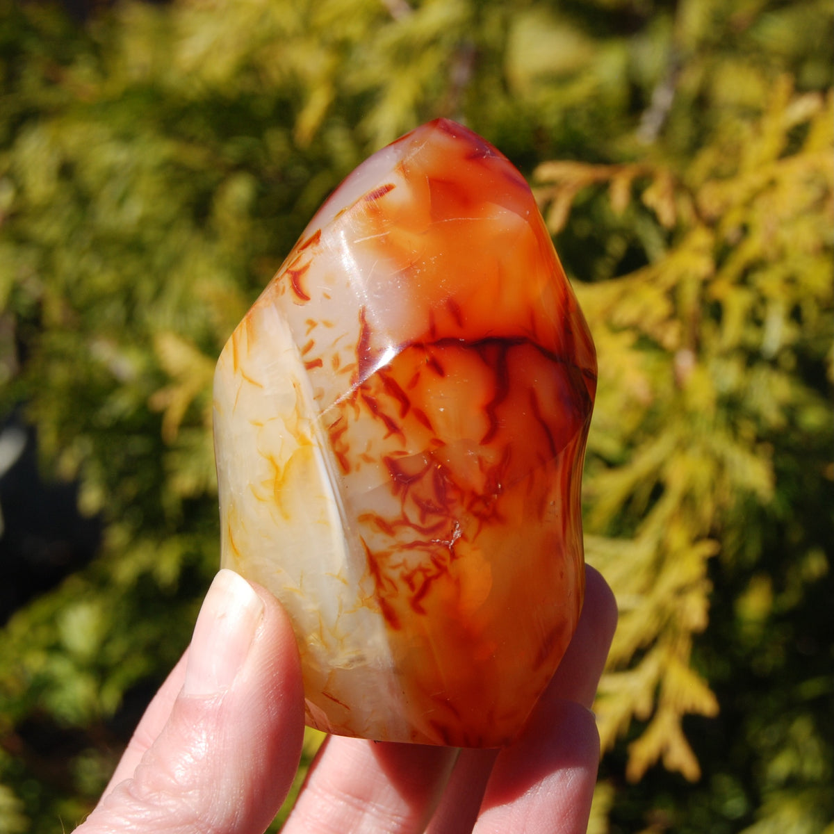 Ornate Carnelian Agate Crystal Flame