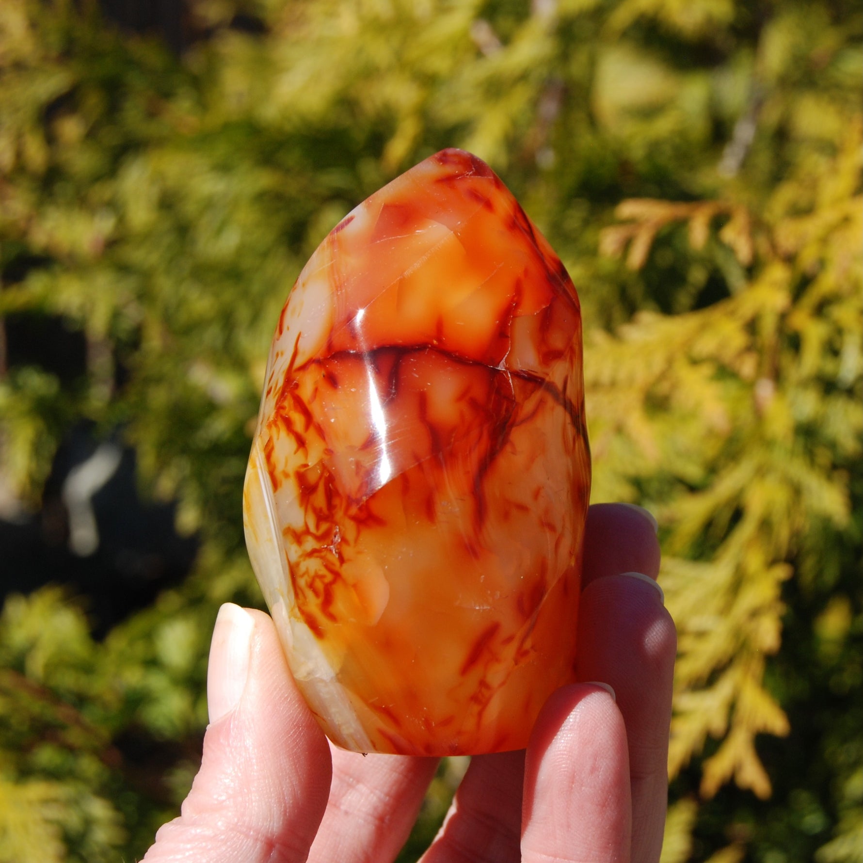 Ornate Carnelian Agate Crystal Flame
