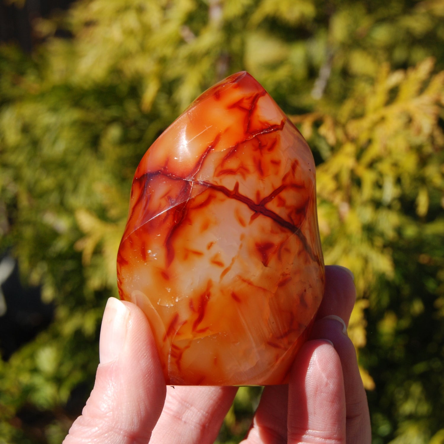 Ornate Carnelian Agate Crystal Flame