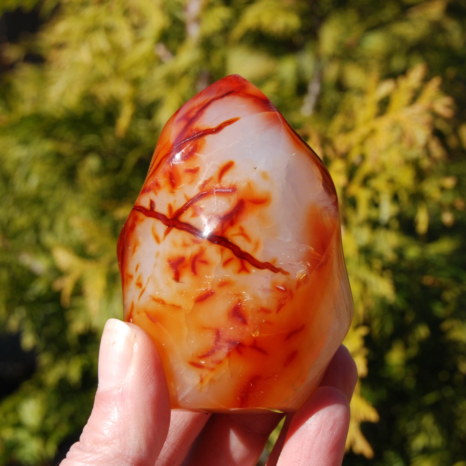Ornate Carnelian Agate Crystal Flame