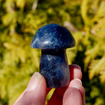Blue Fluorite Crystal Mushroom