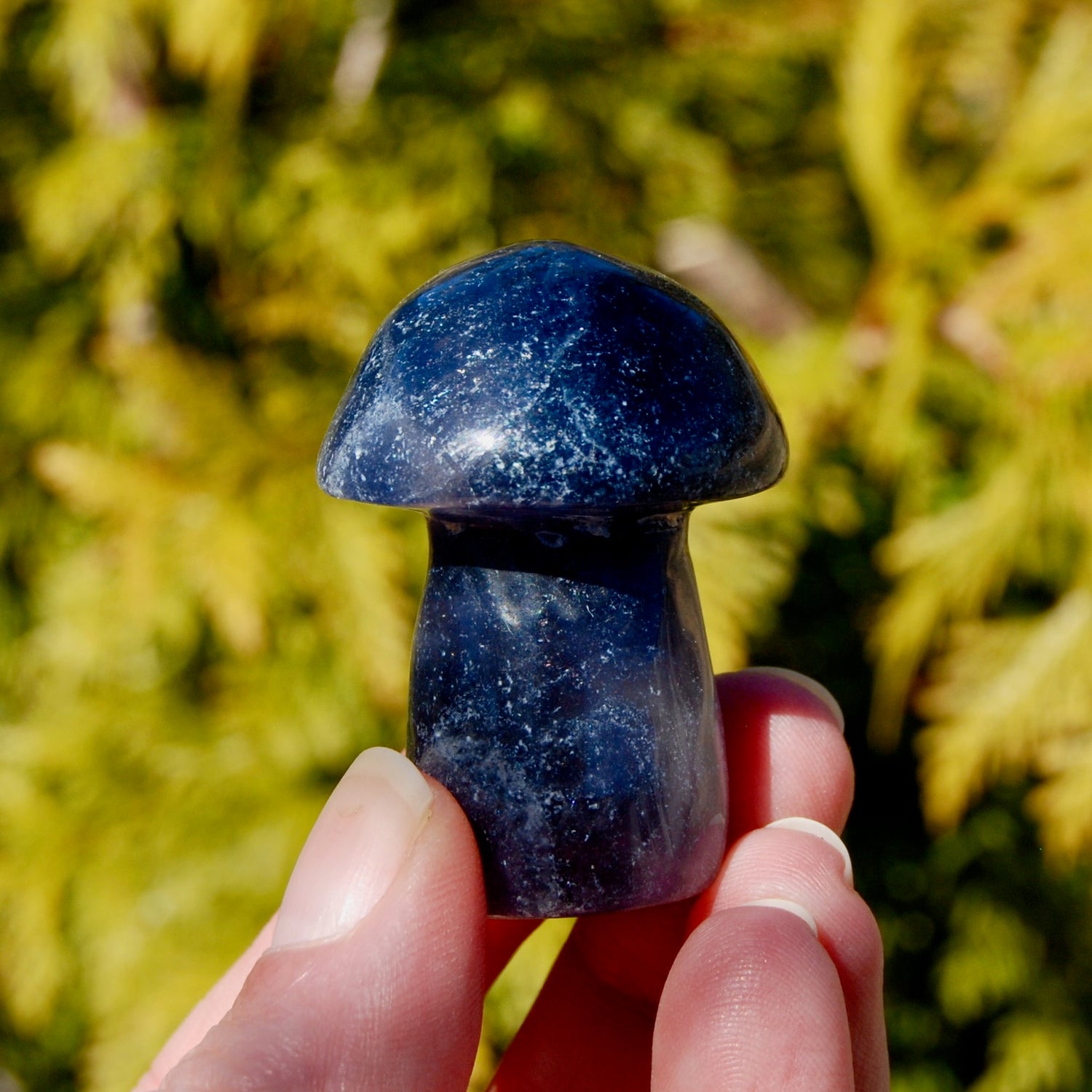 Blue Fluorite Crystal Mushroom