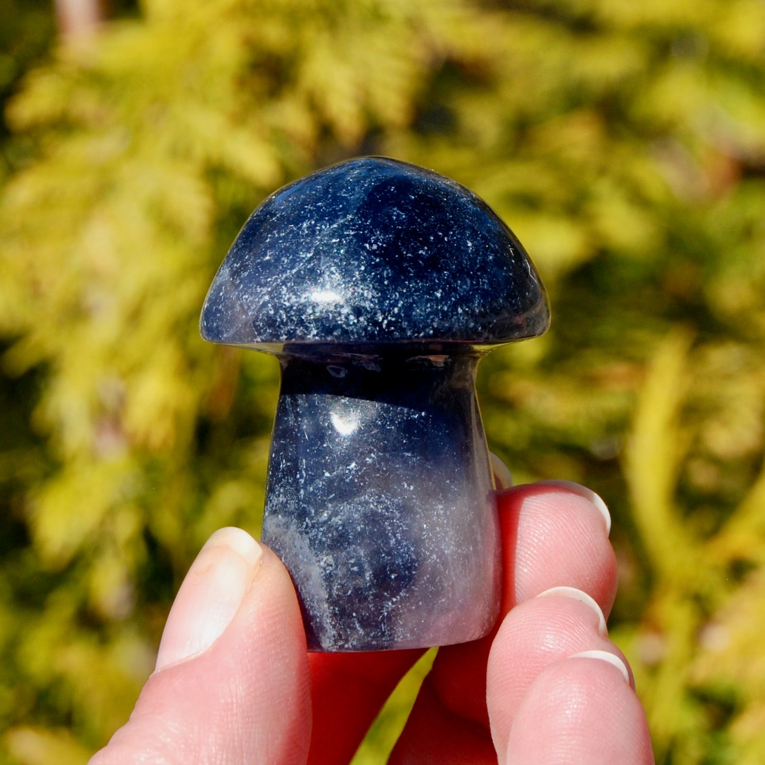 Blue Fluorite Crystal Mushroom