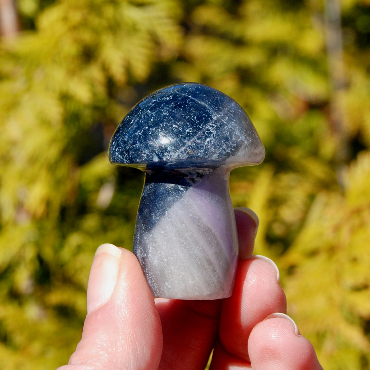 Blue Fluorite Crystal Mushroom
