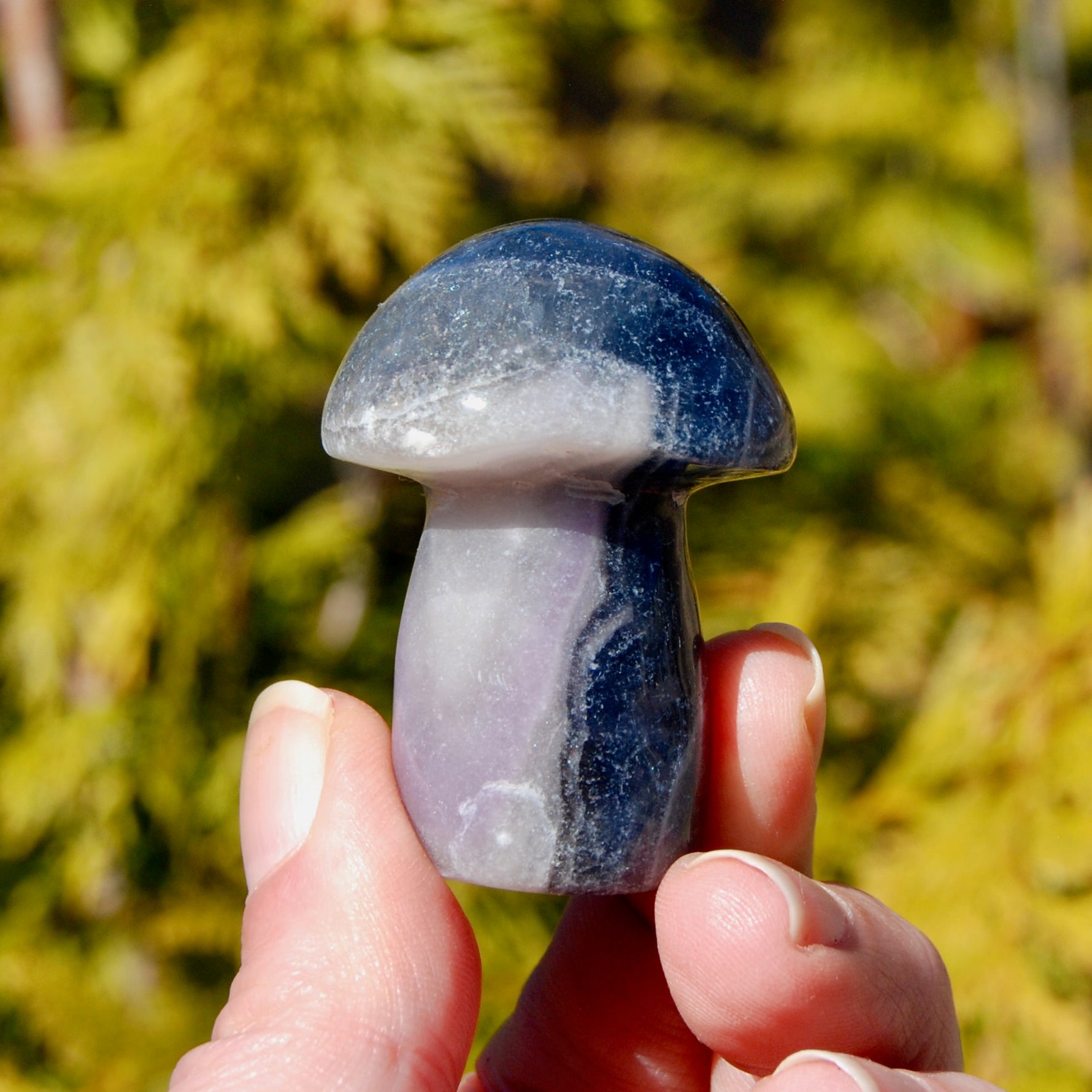 Blue Fluorite Crystal Mushroom