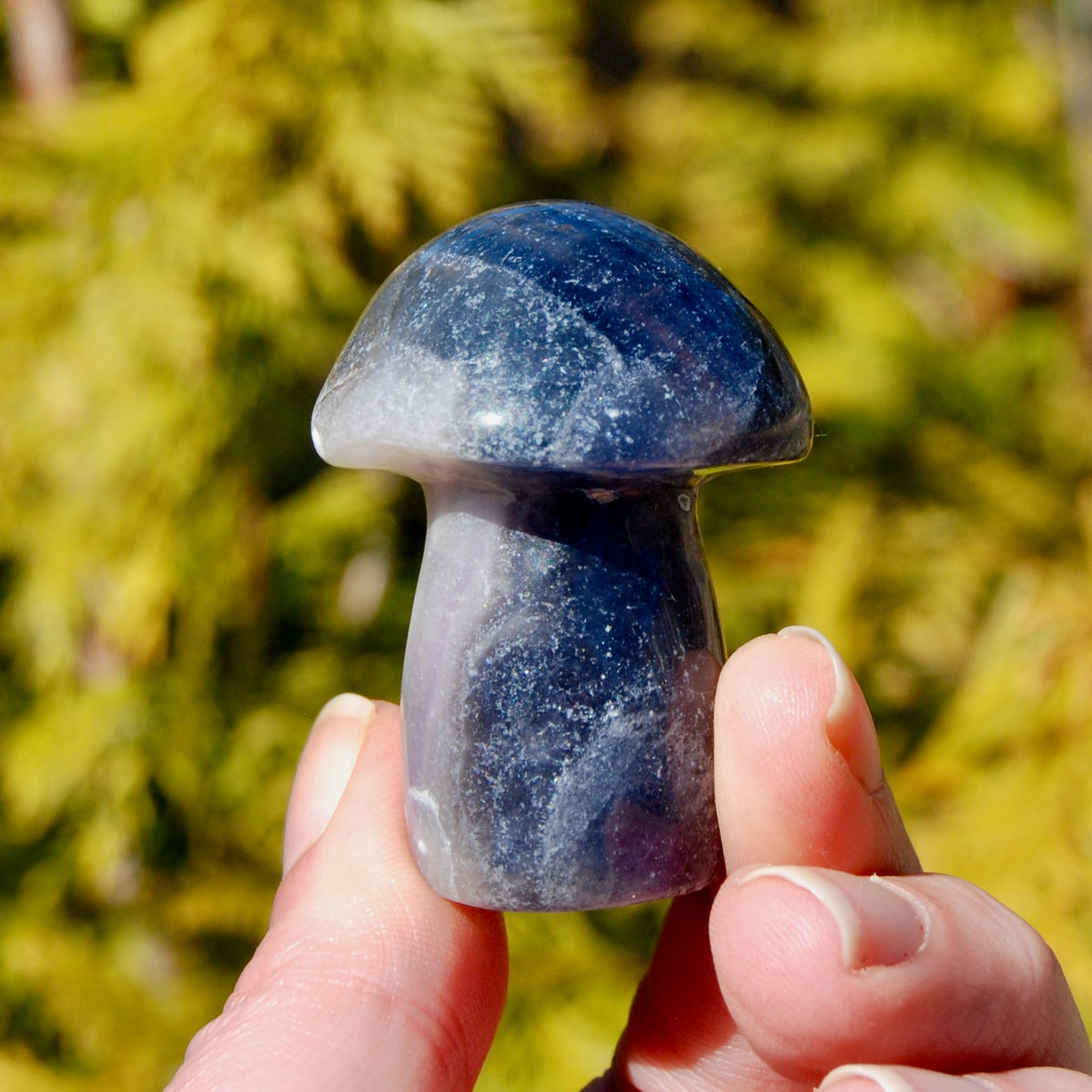 Blue Fluorite Crystal Mushroom