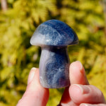 Blue Fluorite Crystal Mushroom