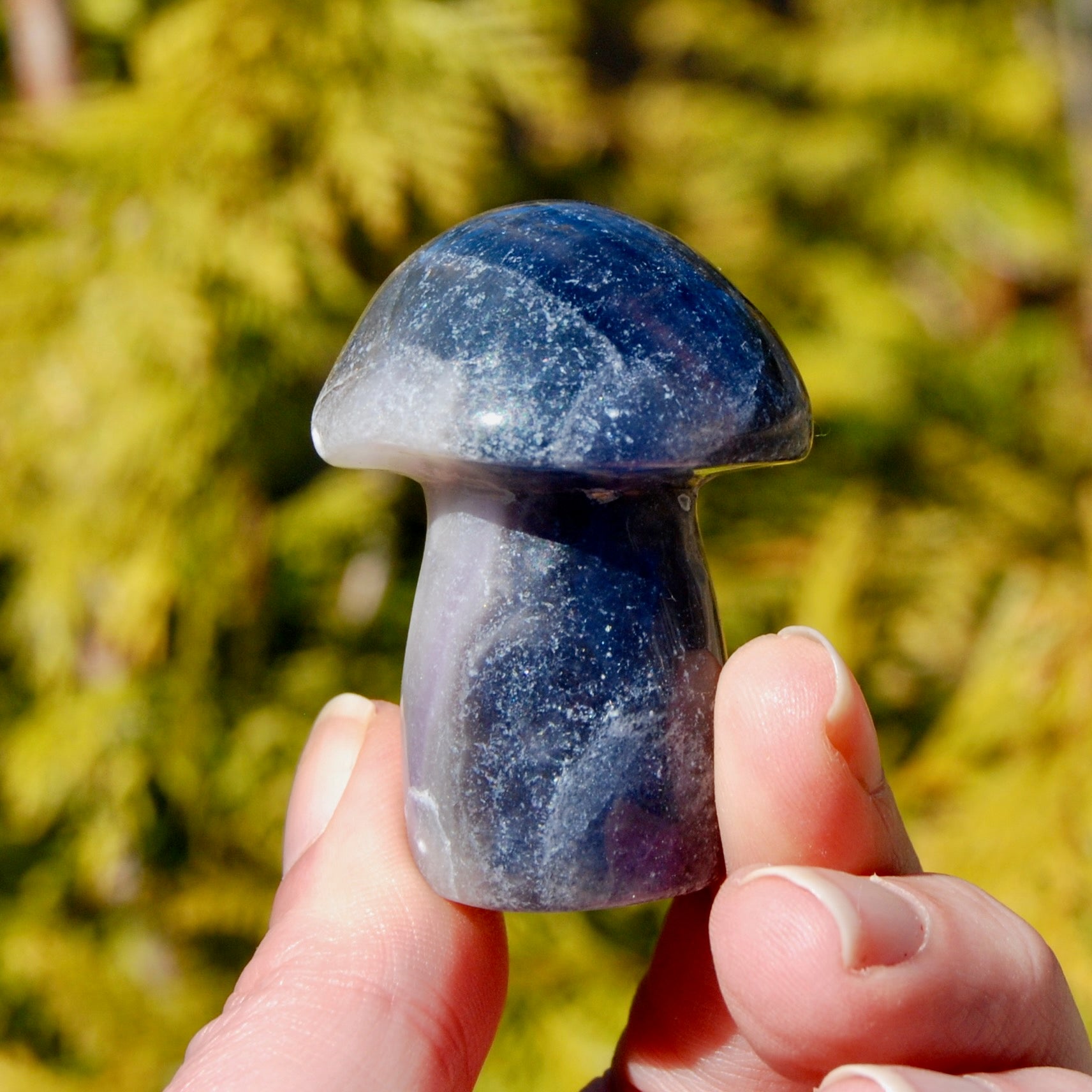 Blue Fluorite Crystal Mushroom
