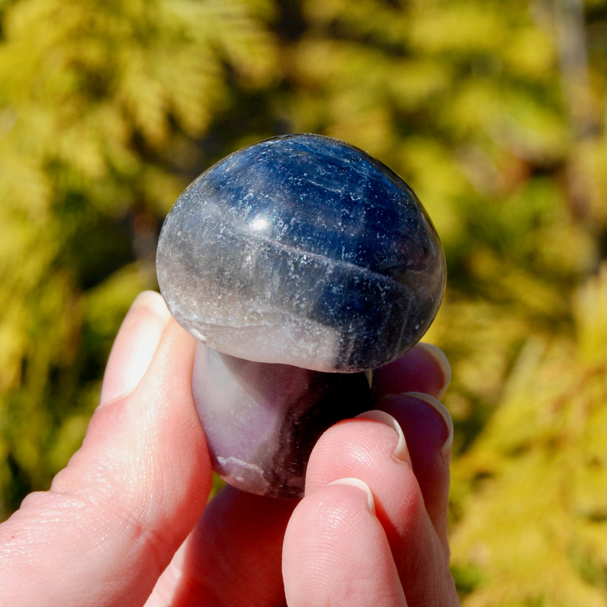 Blue Fluorite Crystal Mushroom