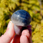 Blue Fluorite Crystal Mushroom
