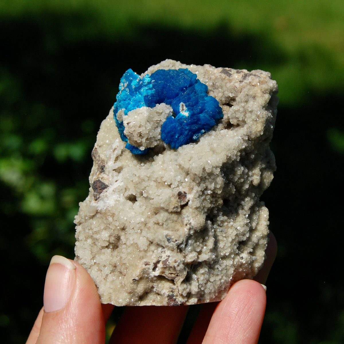 Large Cavansite Crystal Cluster - 134g Stone of Transition & Psychic Awareness