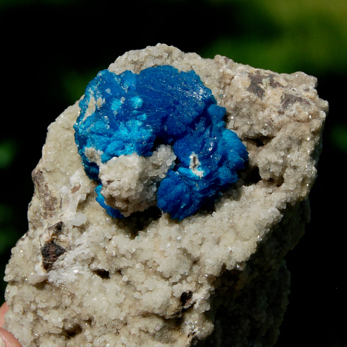 Large Cavansite Crystal Cluster - 134g Stone of Transition & Psychic Awareness